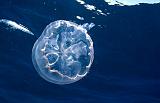 SXM onestep beyond 15082010_16
